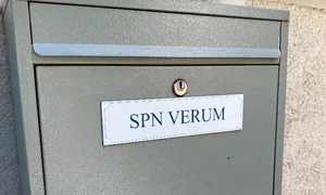 p 24 M  Plesu jpg