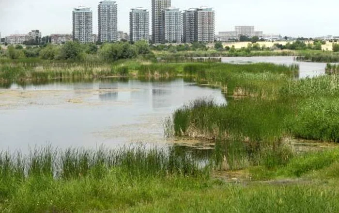 
    Zona este în curs de a fi desemnată arie naturală protejată  