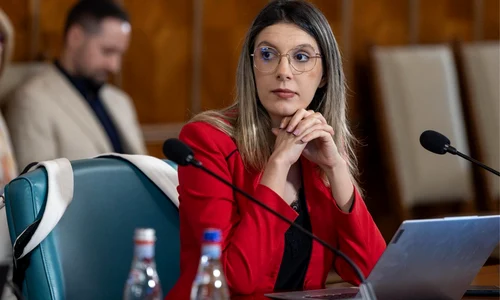 diana buzoianu foto facebook png