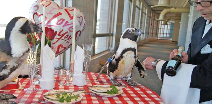 
    "Ce ne place cadrul ăsta romantic!"  