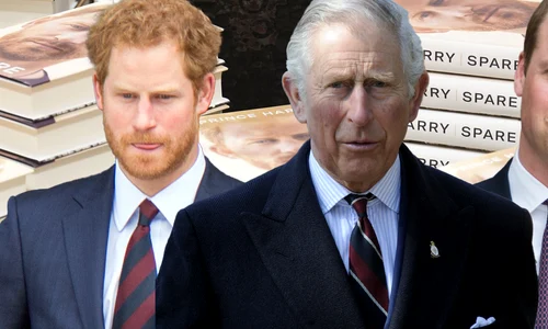 cub prințul Harry png