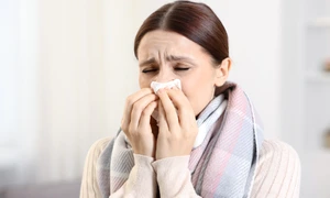 shutterstock 2717367881 jpg