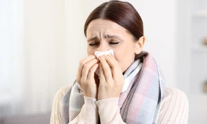 shutterstock 2717367881 jpg