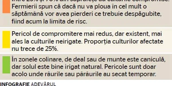 Info