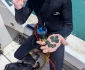 Peste o mie de monede de aur și argint, recuperate din apele Floridei FOTO: Queen’s Jewels LLC