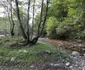 Valea Streiului din Munții Șureanu și Cascada Șipote Foto Daniel Guță ADEVĂRUL (20) JPG