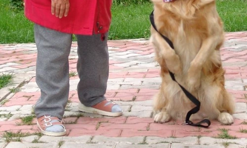 1 46799 original jpg jpeg