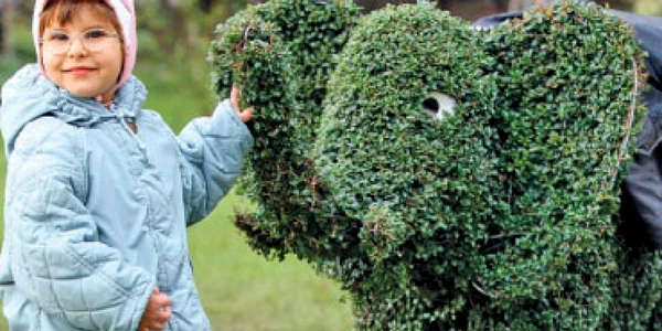 Oltenii au parc de 12 milioane de euro