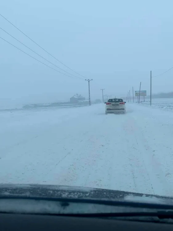 suceava botosani