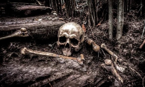 Cel mai vechi material genetic de la o specie umană dispărută  jpeg