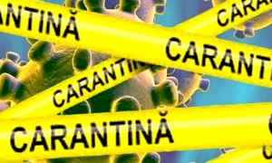 carantina jpeg