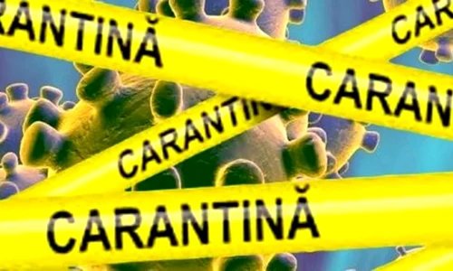 carantina jpeg