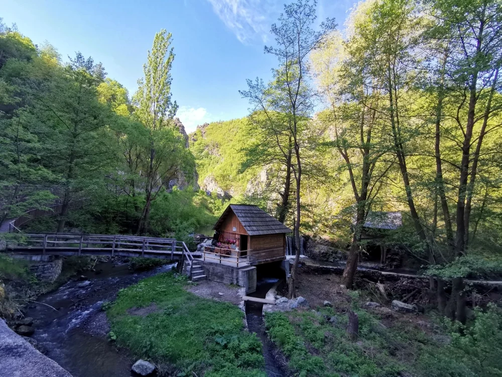 Morile de apă de la Rudăria FOTO Ş.Both