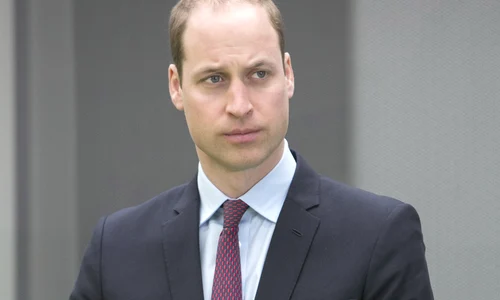 prince william hepta 2328598 jpeg