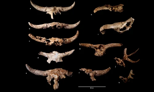 uQ9SMZzKWrRAqG2HqHtB9L png