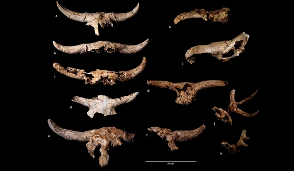 uQ9SMZzKWrRAqG2HqHtB9L png