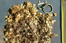 Tezaur de argint din Epoca Vikingilor descoperit în Finland