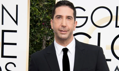 74th Annual Golden Globe Awards 2017 Arrivals jpeg