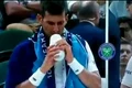 novak djokovic PNG