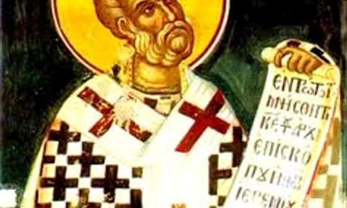 images jpg sf nicole jpeg
