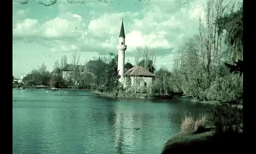 foto gif gif