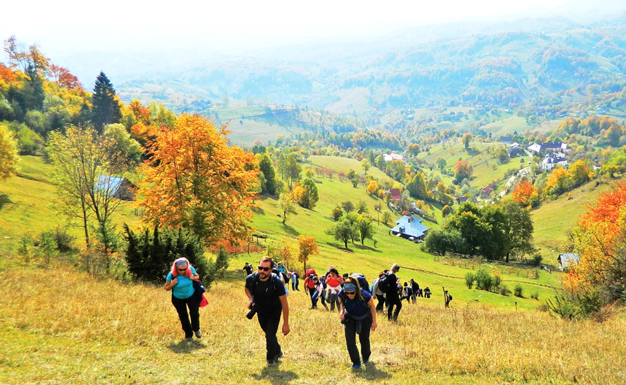 
    Zona Măgura are  un colorit superb  în această perioadă  