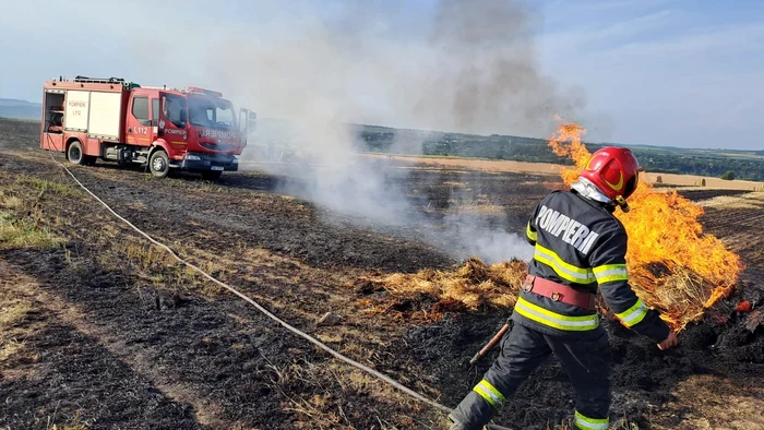 Zeci de hectare a fost pârjolite FOTO ISU Botoșani