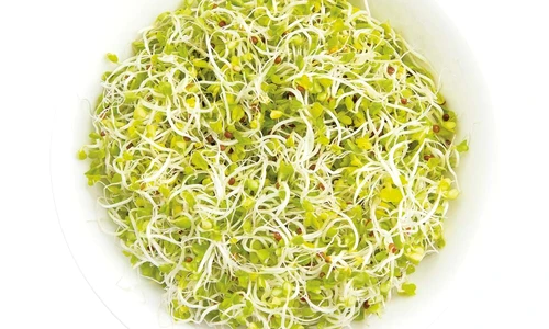 1 52029 original jpg jpeg