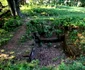 Cetatea dacica Piatra Roșie Foto Daniel Guță ADEVĂRUL (5) JPG