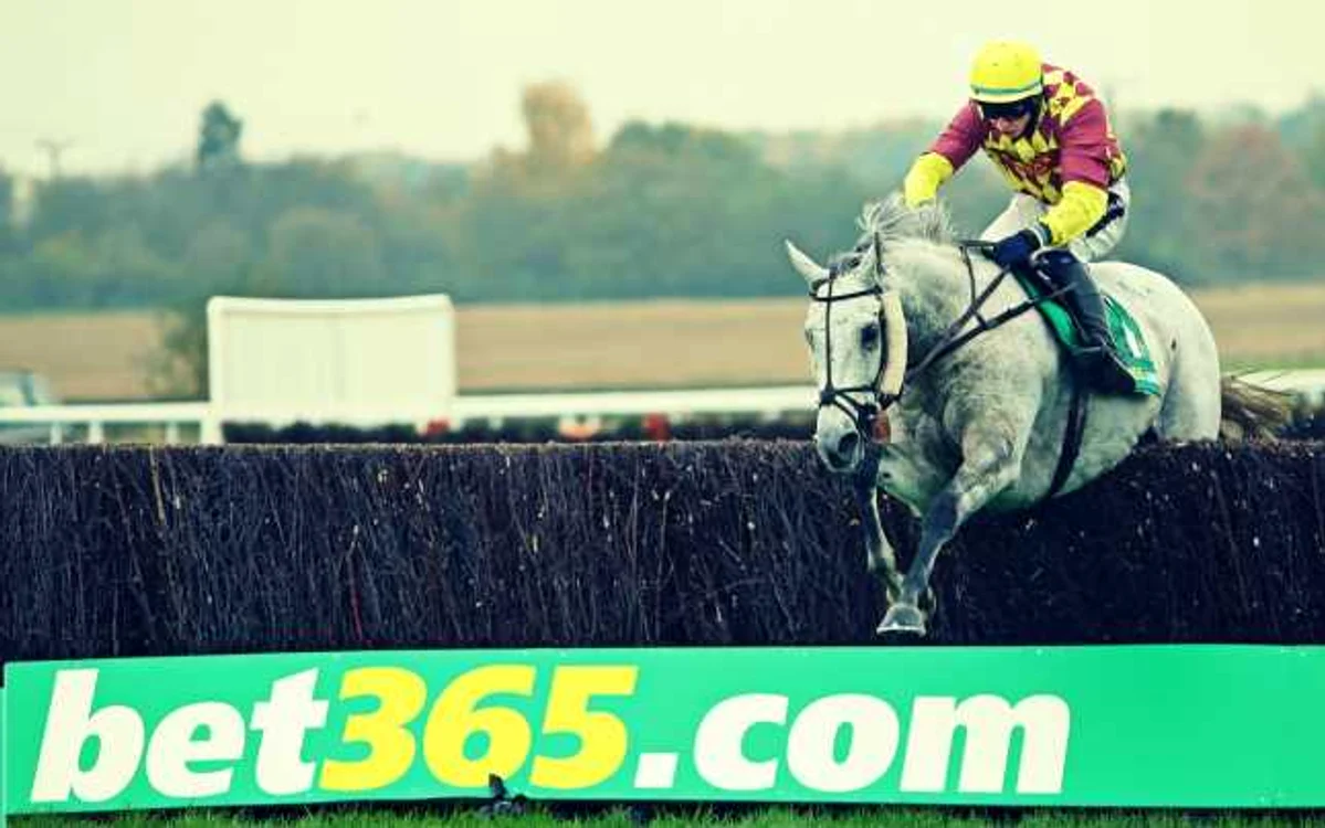 Disputa dintre bet365.com şi ONJN are o istorie de trei luni şi a început în contextul schimbării legislaţiei în domeniul jocurilor de noroc şi pariurilor sportive din septembrie anul trecut FOTO: Guliver/ Getty Images