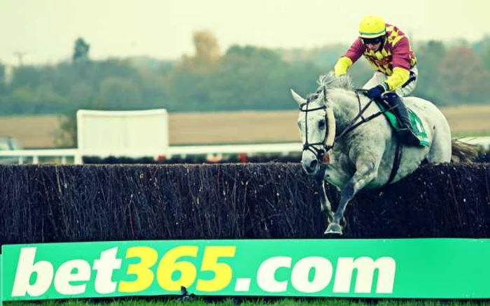 Disputa dintre bet365.com şi ONJN are o istorie de trei luni şi a început în contextul schimbării legislaţiei în domeniul jocurilor de noroc şi pariurilor sportive din septembrie anul trecut FOTO: Guliver/ Getty Images
