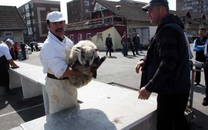 Poliţia şi Direcţia Sanitar-Veterinară va verifica condiţiile de igienă în care sunt sacrificaţi mieii. FOTO: Arhivă