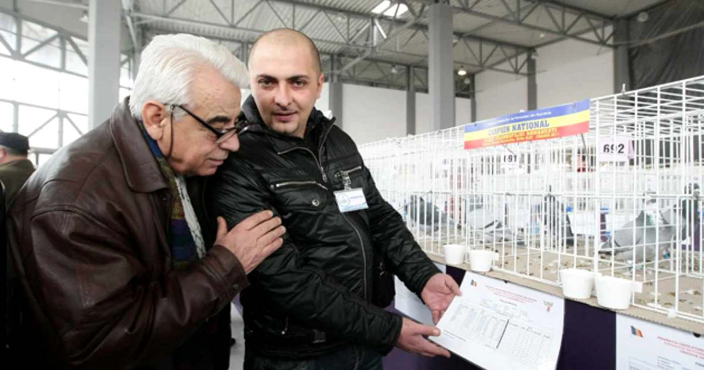 Expoziţie naţională de porumbei astăzi, la Craiova. 
