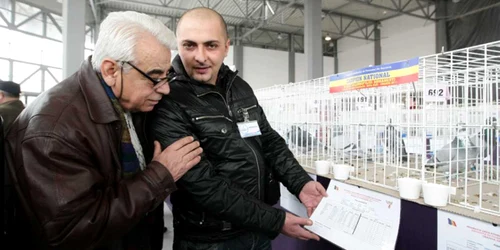 Expoziţie naţională de porumbei astăzi, la Craiova. 