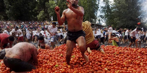 tomatina chile reuters