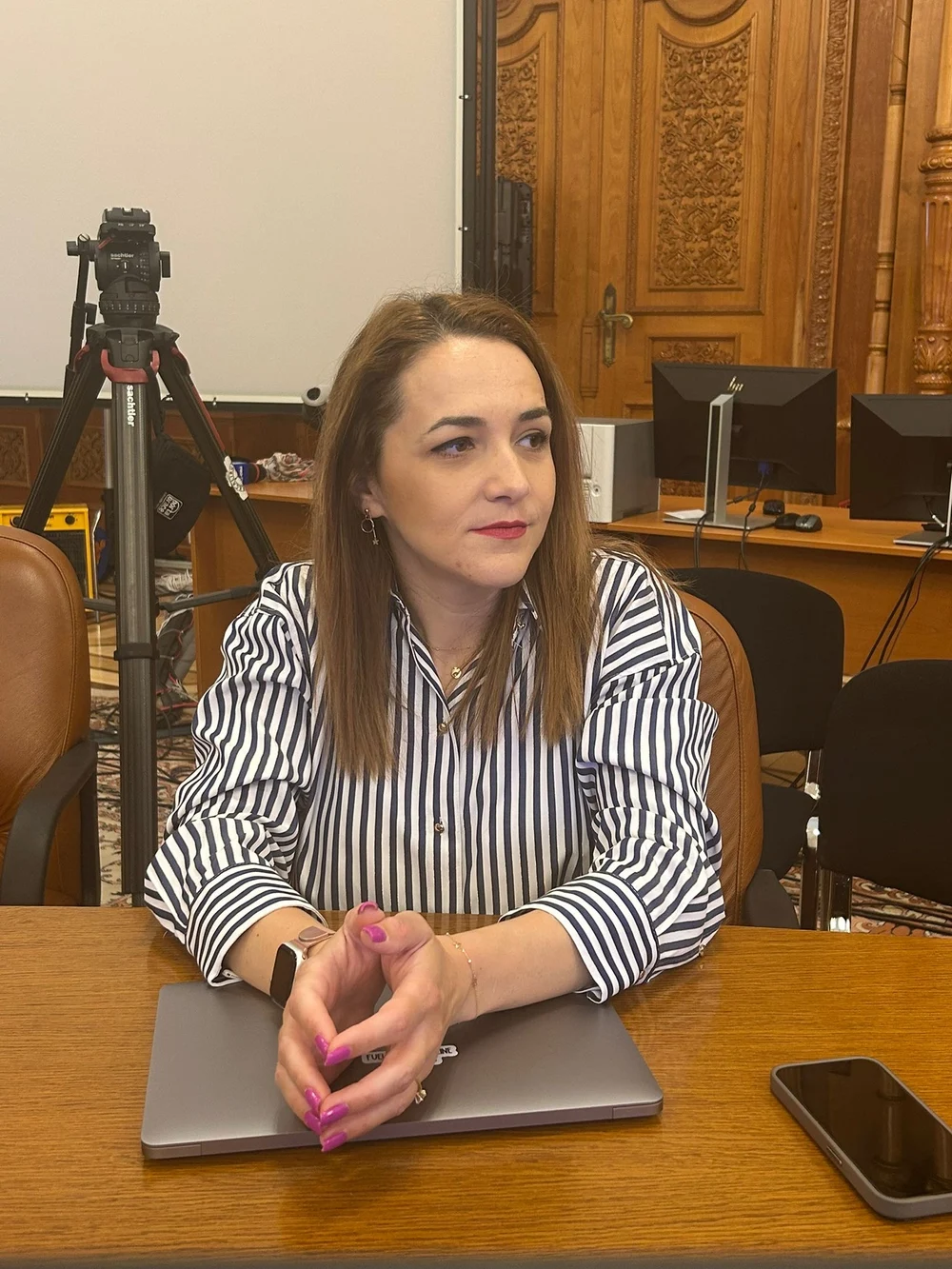 Senatoare USR, în comisia „România fără violență domestică”: „Prea multe femei au fost victime”