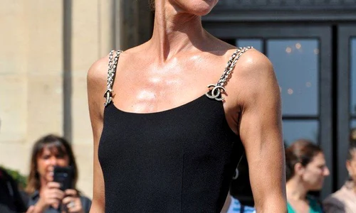 celine dion main png