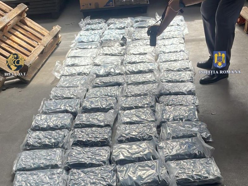 „Operațiunea BLIZZARD”: Peste jumătate de tonă de droguri, confiscată de la începutul lui 2024. Câți traficanți au fost arestați