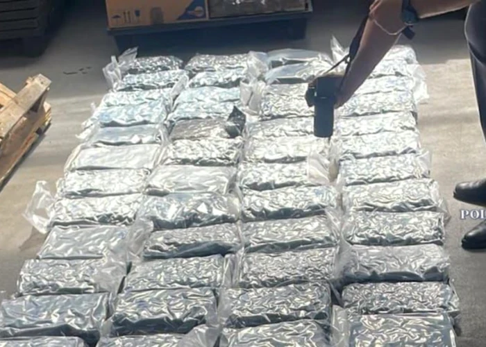 Trei bărbaţi au fost reținuți după ce au introdus în România, prin curier, aproape 50 de kilograme de canabis din Spania