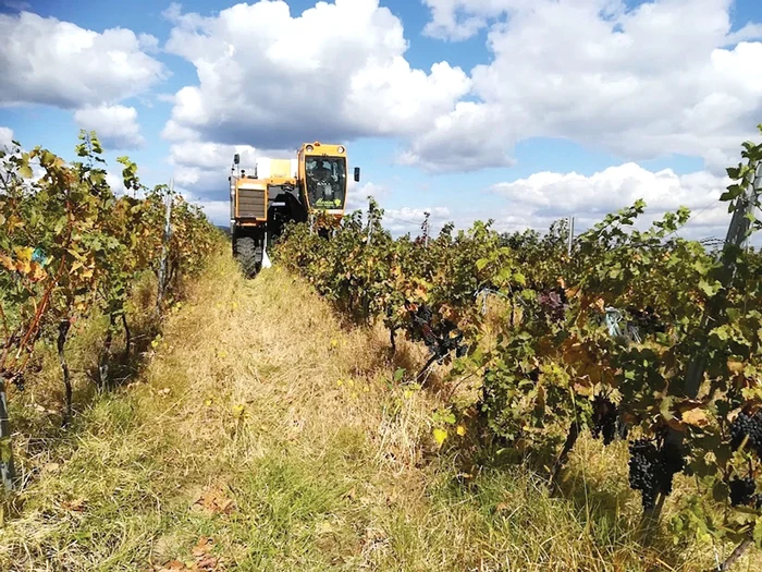 Combina de 230.000 de euro,  o soluţie eficientă. Foto: adevarul.ro