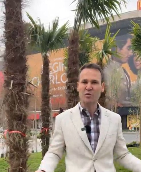 Podul cu palmieri din București, o creație semnată Robert Negoiță. Unde vor mai fi plantați copacii exotici VIDEO