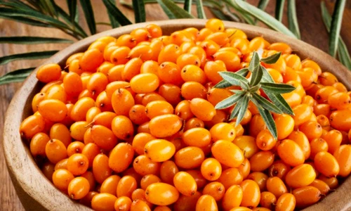 1 85471 original jpg jpeg