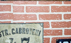 Muzeul Bucureştiului jpeg