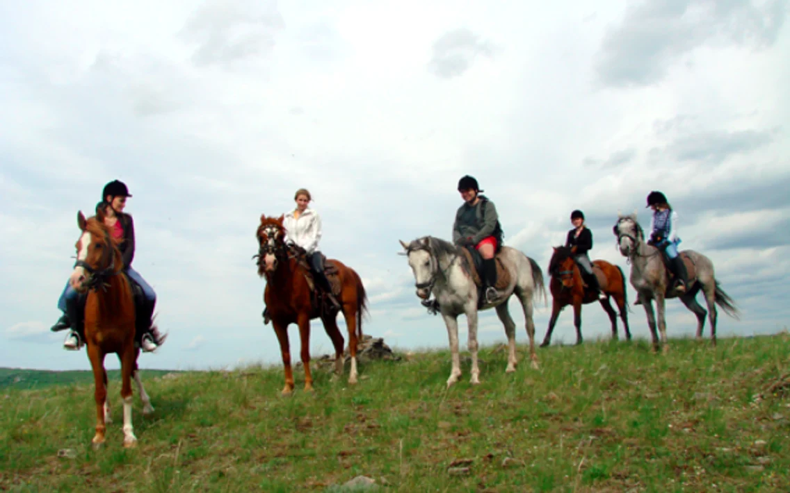 Echitaţie în Dobrogea călărie cal cai hipism sport ecvestru herghelie Padoc Cerna Sursa parcmacin.ro