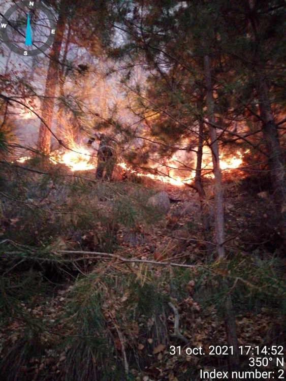 
    Nu se știe de la ce a izbucnit incendiulSursa foto: ISU Bacău  