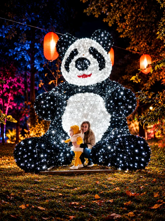 Illuminated Panda Lantern Festival Portrait png