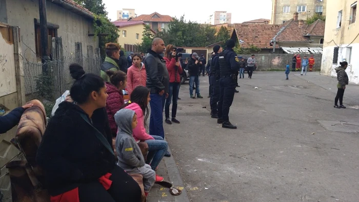 bloc turturica alba