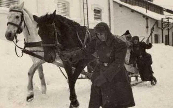 Încă de acum un secol, oamenii înfruntau iarna grea din Bărăgan Foto: arhiva slobozia.adevarul.ro