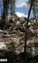 Orașul mayaș Minanbé, descoperit în adâncul Rezervației Biosferei Calakmul (© Vitan Vujanović / INAH)