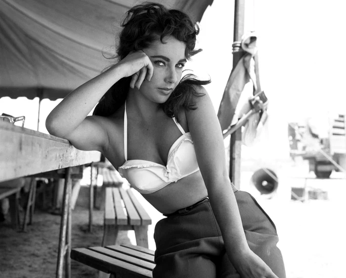Liz Taylor a murit la 79 de ani, în anul 2011